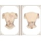 Blood Supply Cupid's Casket of Poems Round Neck Heart Short Lace Top(Full Payment Without Shipping)